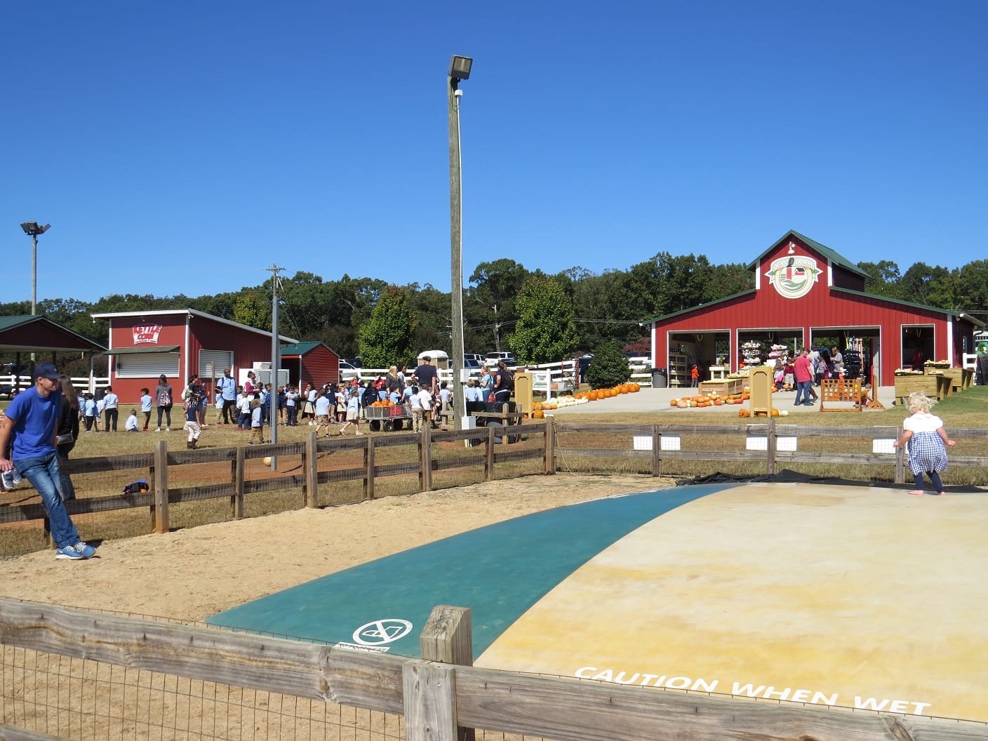 Denver Downs Farm, Family Fun