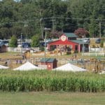 Denver Downs Farm Fall Festival & Corn Maze