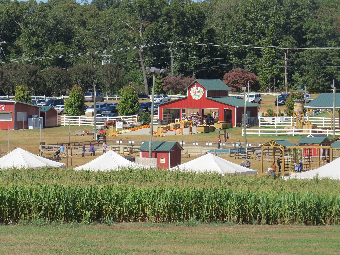 Denver Downs Farm Fall Festival & Corn Maze