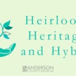 Heirloom, Heritage and Hybrid: presentation by Susan Temple