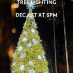 Anderson Christmas Tree Lighting