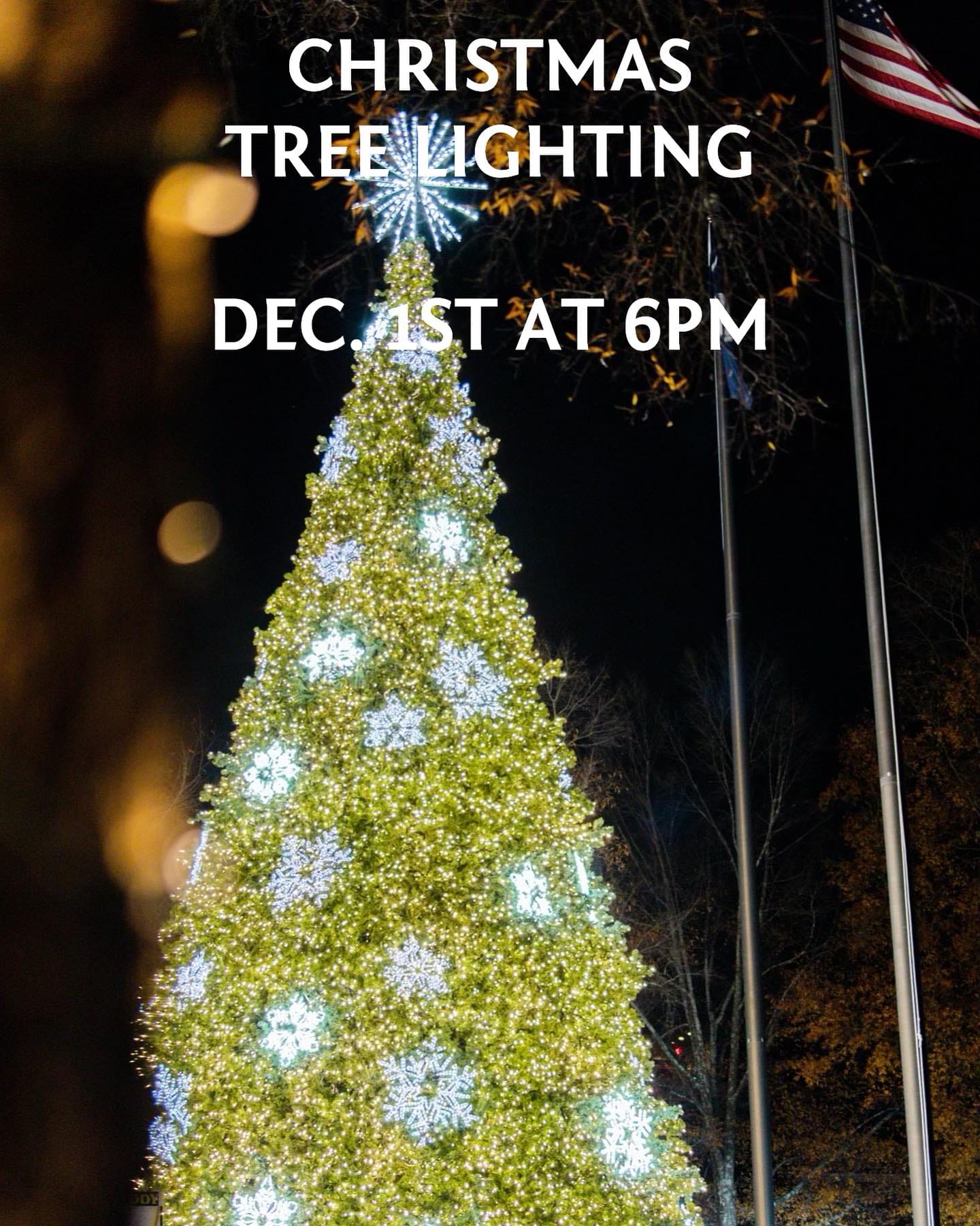 Anderson Christmas Tree Lighting